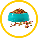 image of pet food in a dish.