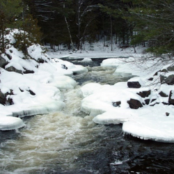 image of Eels Creek